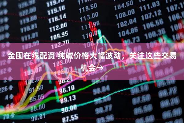 金囤在线配资 纯碱价格大幅波动，关注这些交易机会→