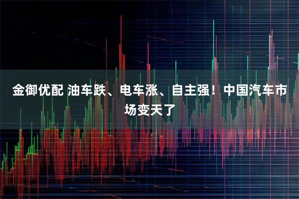 金御优配 油车跌、电车涨、自主强！中国汽车市场变天了