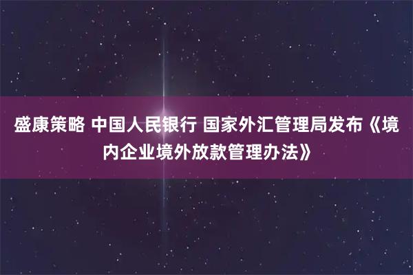 盛康策略 中国人民银行 国家外汇管理局发布《境内企业境外放款管理办法》